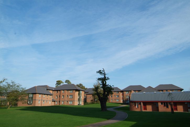 image of the houses accommodation. Blue sky, centre focal tree